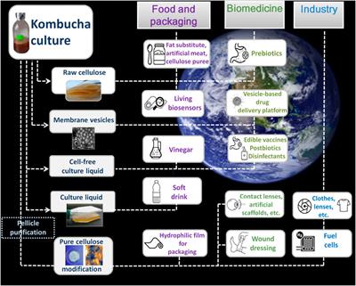 To Other Planets With Upgraded Millennial Kombucha in Rhythms of Sustainability and Health Support
